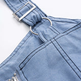 Willow Blue Denim Midi Dress